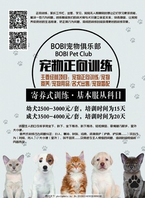 寵愛無限，服務無憂——新店開業，專為愛寵而來！